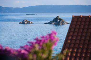 Villa in Seget Vranjica (Splitsko-Dalmatinska) or holiday homes and vacation rentals