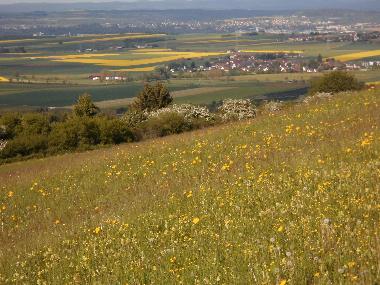 Holiday House in fingen (Black Forest) or holiday homes and vacation rentals