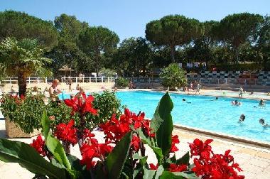 Caravan in Roquebrune-sur-Argens (Var) or holiday homes and vacation rentals