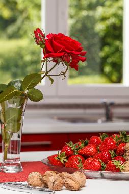 Holiday House in Karojba (Istarska) or holiday homes and vacation rentals