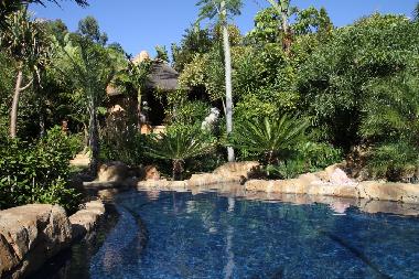 Holiday Apartment in Knysna (Western Cape) or holiday homes and vacation rentals