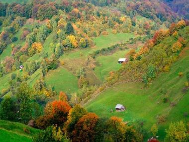 Bed and Breakfast in Predelut (bran) (Brasov) or holiday homes and vacation rentals