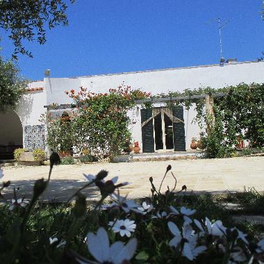 Villa in Porto Cesareo (Lecce) or holiday homes and vacation rentals