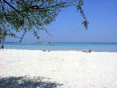Villa in Porto Cesareo (Lecce) or holiday homes and vacation rentals