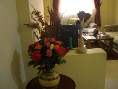 Holiday Apartment in Marrakech (Marrakech) or holiday homes and vacation rentals