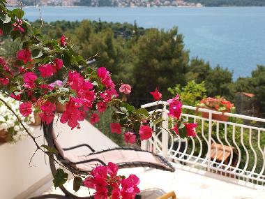 Holiday Apartment in Trogir (Splitsko-Dalmatinska) or holiday homes and vacation rentals