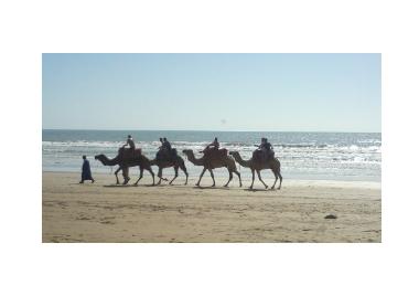 Holiday Apartment in Taghazout (Agadir) or holiday homes and vacation rentals