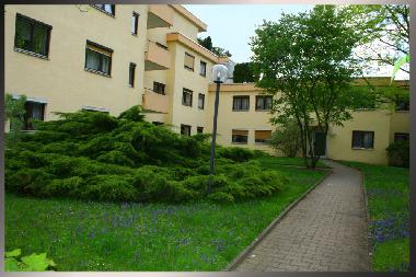 Holiday Apartment in Baden-Baden (Black Forest) or holiday homes and vacation rentals