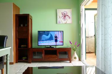 Holiday Apartment in Morro Jable (Fuerteventura) or holiday homes and vacation rentals