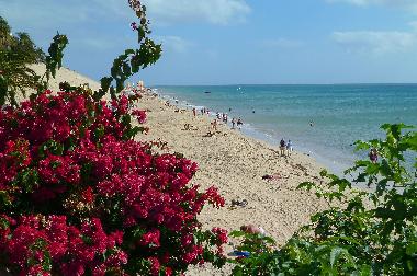 Holiday Apartment in Morro Jable (Fuerteventura) or holiday homes and vacation rentals