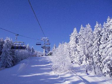 Holiday Apartment in Winterberg (Sauerland) or holiday homes and vacation rentals