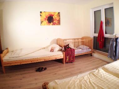 Holiday Apartment in Winterberg (Sauerland) or holiday homes and vacation rentals