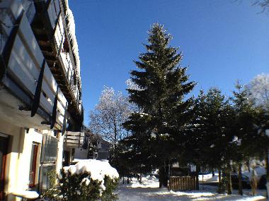 Holiday Apartment in Winterberg (Sauerland) or holiday homes and vacation rentals