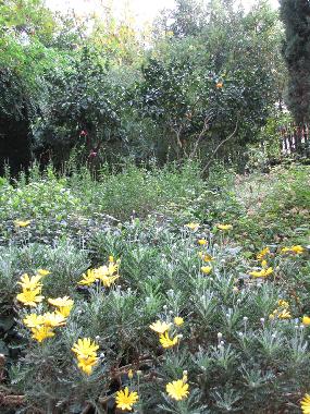 Holiday House in roma (Roma) or holiday homes and vacation rentals