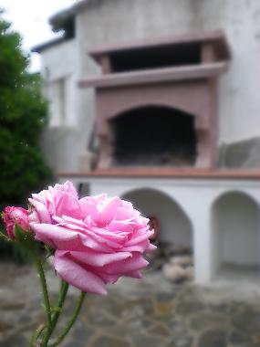 Giardino zona barbecue