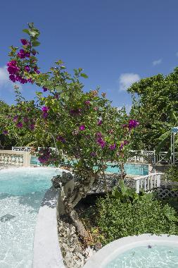 Chalet in Grand Bourg (Guadeloupe) or holiday homes and vacation rentals