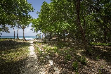 Chalet in Grand Bourg (Guadeloupe) or holiday homes and vacation rentals