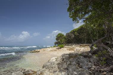 Chalet in Grand Bourg (Guadeloupe) or holiday homes and vacation rentals