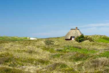 Holiday House in Bergen (Noord-Holland) or holiday homes and vacation rentals