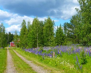 The road to Villafinland