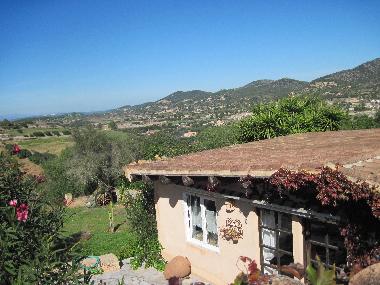 Holiday House in Son Macia (Mallorca) or holiday homes and vacation rentals