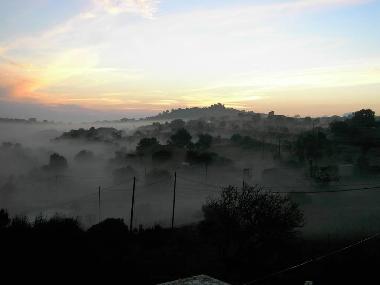 Holiday Apartment in Son Macia (Mallorca) or holiday homes and vacation rentals