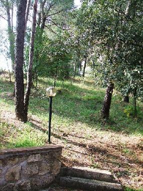 Holiday Apartment in Montefranco (Terni) or holiday homes and vacation rentals