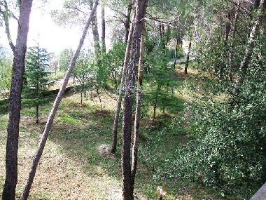 Holiday Apartment in Montefranco (Terni) or holiday homes and vacation rentals