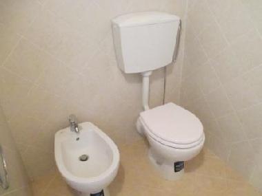 Bed and Breakfast in Lucchio (Lucca) or holiday homes and vacation rentals