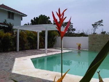 Villa in Las Terrenas (Samana) or holiday homes and vacation rentals