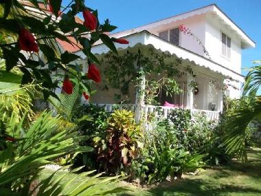 Villa in Las Terrenas (Samana) or holiday homes and vacation rentals