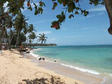 Villa in Las Terrenas (Samana) or holiday homes and vacation rentals