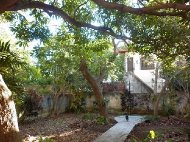 Back yard