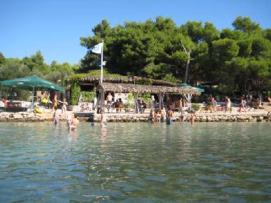 Holiday Apartment in Murter (Sibensko-Kninska) or holiday homes and vacation rentals
