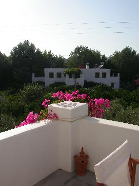 Holiday House in Leros Island (Dodekanisos) or holiday homes and vacation rentals