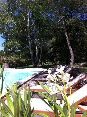 Holiday House in 84560  (Vaucluse) or holiday homes and vacation rentals