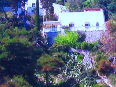 Villa in tricase (Lecce) or holiday homes and vacation rentals