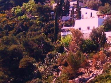 Villa in tricase (Lecce) or holiday homes and vacation rentals