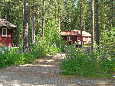 Holiday House in Sifferbo (Dalarna) or holiday homes and vacation rentals