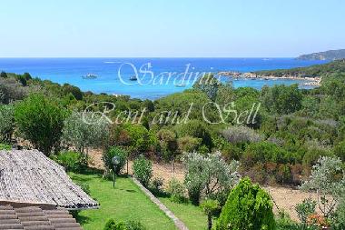 Villa in Domus de Maria (Cagliari) or holiday homes and vacation rentals