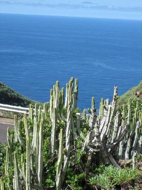 Villa in Tijarafe (La Palma und El Hierro) or holiday homes and vacation rentals