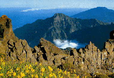 Villa in Tijarafe (La Palma und El Hierro) or holiday homes and vacation rentals