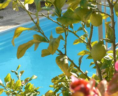 Villa in Marseillan (H�rault) or holiday homes and vacation rentals