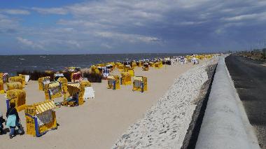 Holiday Apartment in Cuxhaven (Land zwischen Elbe u. Weser) or holiday homes and vacation rentals