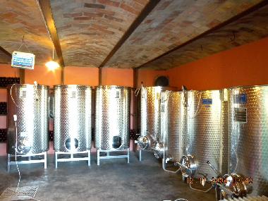 OUR WINE CELLAR