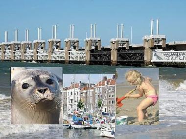 Holiday Apartment in Kamperland (Zeeland) or holiday homes and vacation rentals
