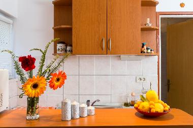 Holiday Apartment in Dubrovnik (Dubrovacko-Neretvanska) or holiday homes and vacation rentals