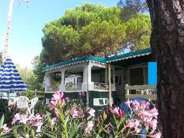 Chalet in st tropez (Var) or holiday homes and vacation rentals