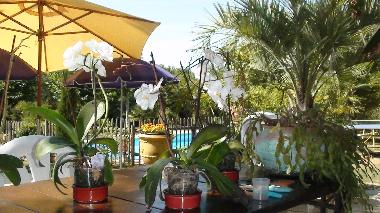 Holiday House in font vayssere (Dordogne) or holiday homes and vacation rentals