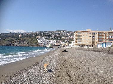Holiday Apartment in salobrea (Granada) or holiday homes and vacation rentals